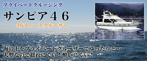 プライベートクルージング サンピア46 46フィートクルーザー 海の上をプライベートクルーザーでゆったりと・・・大型なので揺れにくい！酔いにくい！