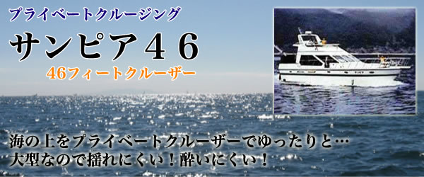 プライベートクルージング サンピア46 46フィートクルーザー 海の上をプライベートクルーザーでゆったりと・・・大型なので揺れにくい!酔いにくい!